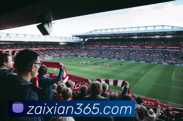 多媒体互动体验